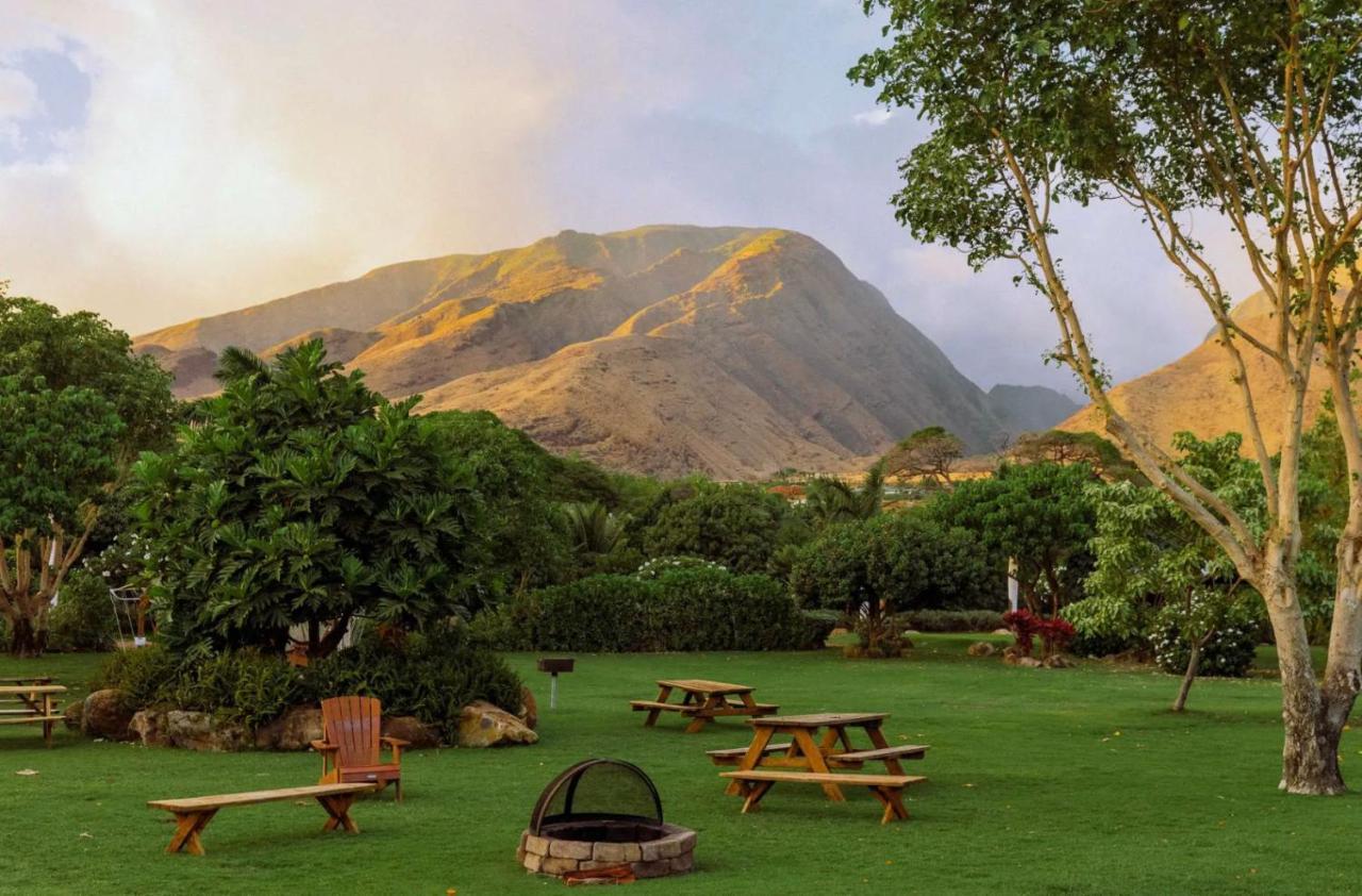 Explore Maui'S Diverse Campgrounds And Uncover The Island'S Beauty From Fresh Perspectives Every Day As You Journey With Aloha Glamp'S Great Jeep Equipped With A Rooftop Tent パイア エクステリア 写真