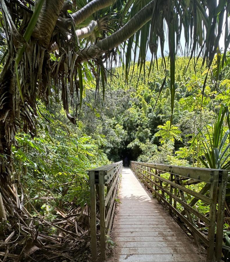 Explore Maui'S Diverse Campgrounds And Uncover The Island'S Beauty From Fresh Perspectives Every Day As You Journey With Aloha Glamp'S Great Jeep Equipped With A Rooftop Tent パイア エクステリア 写真